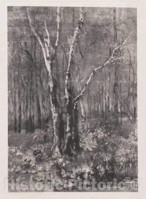 Art Print : Mosè Bianchi, Woods in The Park Near Monza, 1895, Historic Wall Décor : 36in x 48in