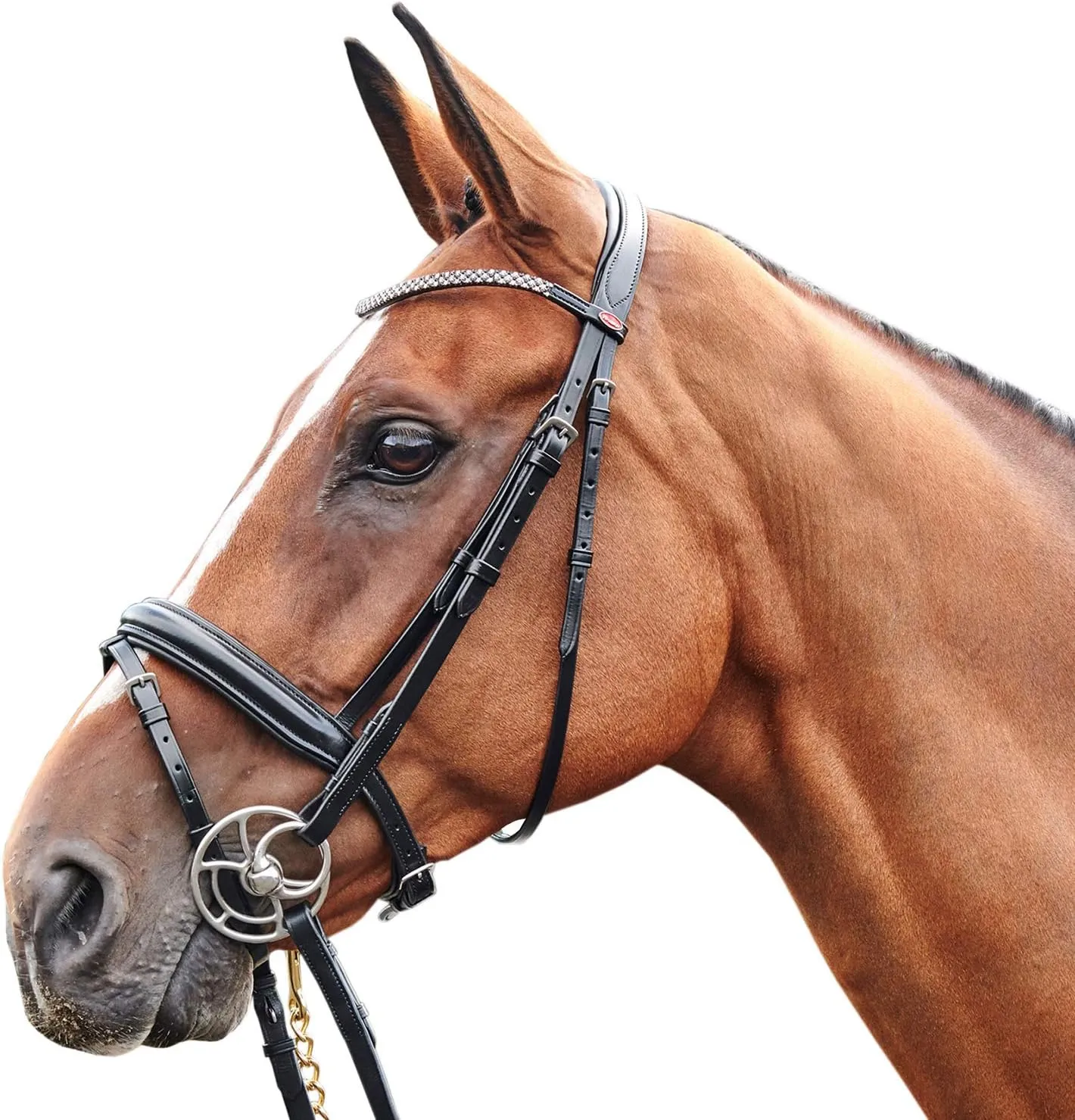 Barton Bling Flash Snaffle Bridle Cob Black