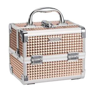 FRENESSA Makeup Case Train Case Portable Makeup Box with Mirror Lock Box Travel Cosmetic Train Cases Hard Makeup Organizer Artist Nail Sewing Storage Vanity Case Rose Gold