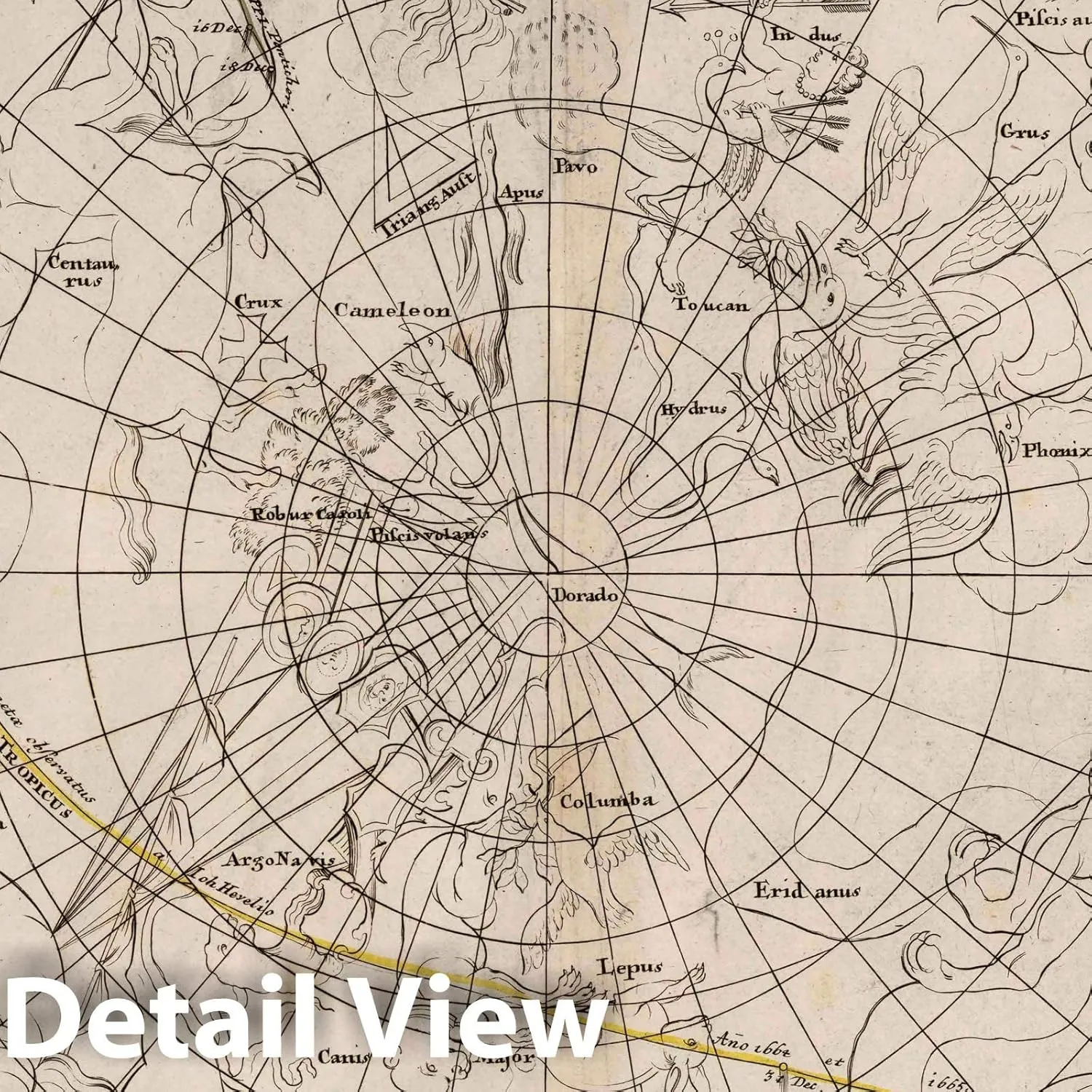 Historic Map : Motus Come Tarum in Hemisphaerio Australi, 1742 Celestial Atlas - Vintage Wall Art - 52in x 44in
