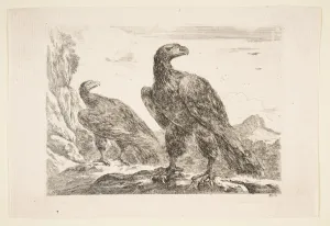 Historic Pictoric Art Print : Stefano Della Bella - Two Eagles, from 'Eagles' (Les aigles) 2 : Vintage Wall Décor : 24in x 16in