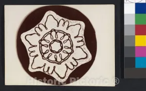 Historic Pictoric Photo Print : Wilson Alwyn Bentley - Snow Crystal - 408809 : Vintage Wall Décor : 12in x 08in