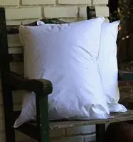 Organic Cotton Pillow Cases
