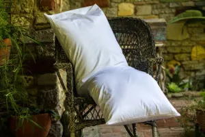 Organic Cotton Pillow Cases