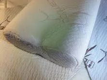 Organic Cotton Pillow Cases